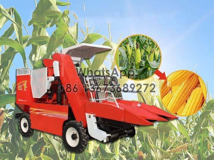 2 rows corn harvester machine